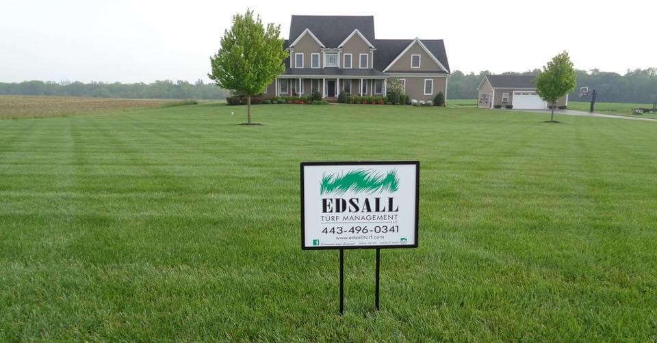 Edsall Turf Management project