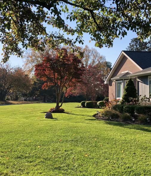 Edsall Turf Management project